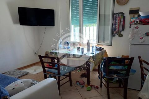 Villa i Rosignano Marittimo, Livorno, Rosignano Marittimo - € 690.000 | Ref: AI 2 - foto 35