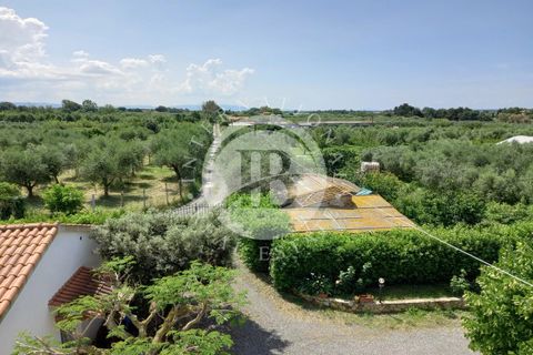Villa i Rosignano Marittimo, Livorno, Rosignano Marittimo - € 690.000 | Ref: AI 2 - foto 36