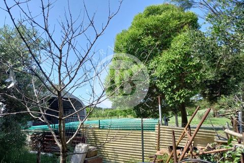 Villa i Rosignano Marittimo, Livorno, Rosignano Marittimo - € 690.000 | Ref: AI 2 - foto 41