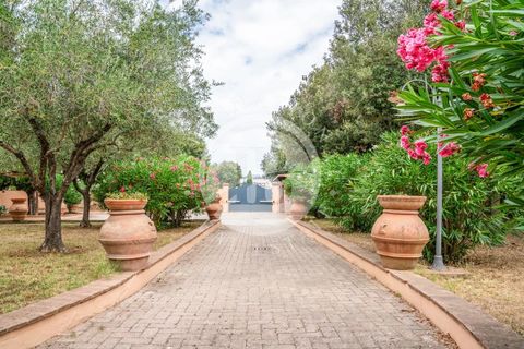 Villa a Cecina, Livorno, Cecina - € 800.000 | Ref: AI 3 - foto 4