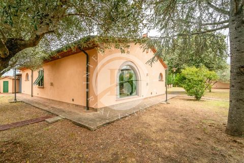 Villa a Cecina, Livorno, Cecina - € 800.000 | Ref: AI 3 - foto 12