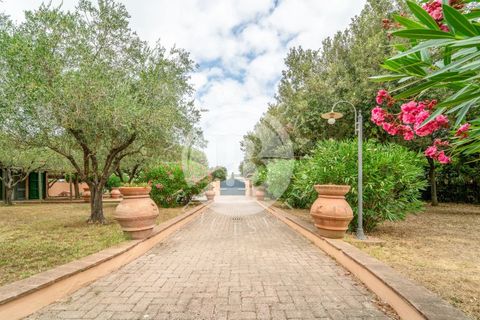 Villa a Cecina, Livorno, Cecina - € 800.000 | Ref: AI 3 - foto 19