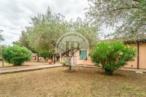 Villa a Cecina, Livorno, Cecina - € 800.000 | Ref: AI 3 - foto 21