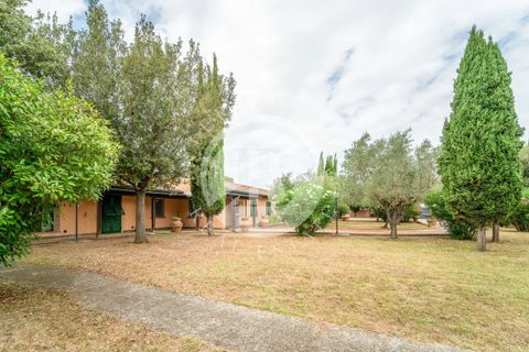 Villa a Cecina, Livorno, Cecina - € 800.000 | Ref: AI 3 - foto 24