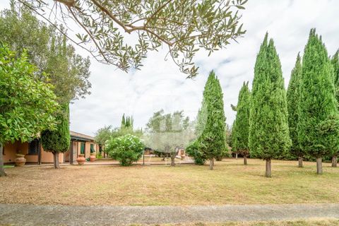 Villa a Cecina, Livorno, Cecina - € 800.000 | Ref: AI 3 - foto 25