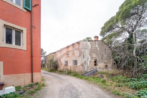 Lejlighed i Santa Luce, Pisa, Santa Luce - € 290.000 | Ref: AI 10 - foto 5