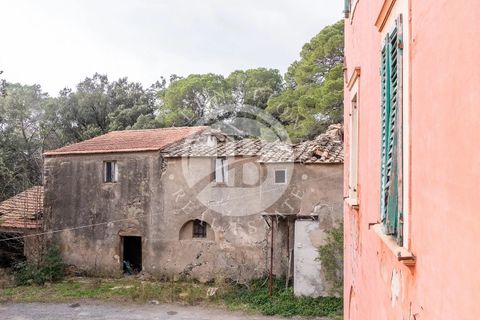 Lejlighed i Santa Luce, Pisa, Santa Luce - € 290.000 | Ref: AI 10 - foto 7