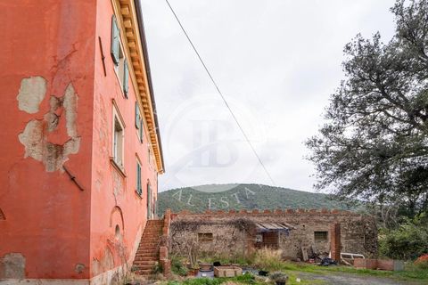 Lejlighed i Santa Luce, Pisa, Santa Luce - € 290.000 | Ref: AI 10 - foto 8