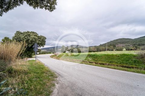 Lejlighed i Santa Luce, Pisa, Santa Luce - € 290.000 | Ref: AI 10 - foto 14