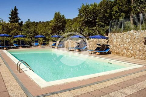 Villa i Riparbella, Pisa, Riparbella - € 770.000 | Ref: AI 20 - foto 2