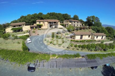 Villa a Guardistallo, Pisa, Guardistallo - € 3.500.000 | Ref: AI 23 - foto 8