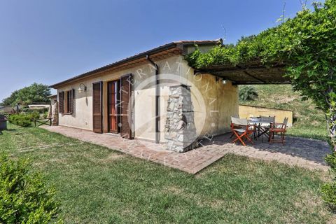 Villa a Guardistallo, Pisa, Guardistallo - € 3.500.000 | Ref: AI 23 - foto 10