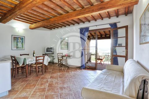 Villa a Guardistallo, Pisa, Guardistallo - € 3.500.000 | Ref: AI 23 - foto 14