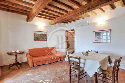 Villa a Guardistallo, Pisa, Guardistallo - € 3.500.000 | Ref: AI 23 - foto 45