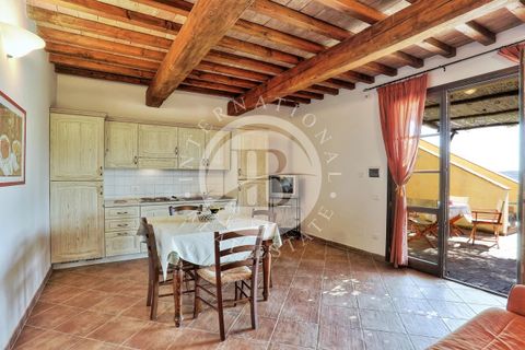 Villa a Guardistallo, Pisa, Guardistallo - € 3.500.000 | Ref: AI 23 - foto 46