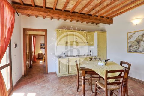 Villa a Guardistallo, Pisa, Guardistallo - € 3.500.000 | Ref: AI 23 - foto 47