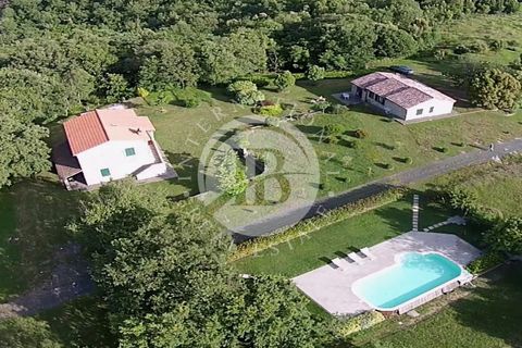 Villa i Monteverdi Marittimo, Pisa, Monteverdi Marittimo - € 980.000 | Ref: AI 28 - foto 4
