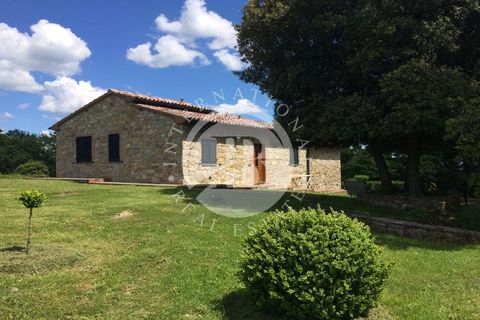 Villa i Monteverdi Marittimo, Pisa, Monteverdi Marittimo - € 980.000 | Ref: AI 28 - foto 9