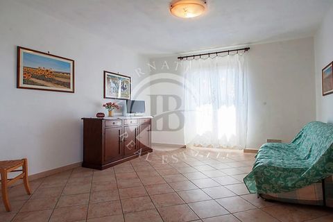 Villa i Monteverdi Marittimo, Pisa, Monteverdi Marittimo - € 980.000 | Ref: AI 28 - foto 20