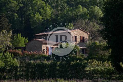 Villa a Montescudaio, Pisa, Montescudaio - € 1.100.000 | Ref: AI 30 - foto 9
