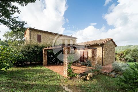 Villa a Montescudaio, Pisa, Montescudaio - € 1.100.000 | Ref: AI 30 - foto 17
