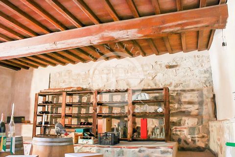 Villa i Sassetta, Livorno, Sassetta - € 1.200.000 | Ref: AI 31 - foto 23