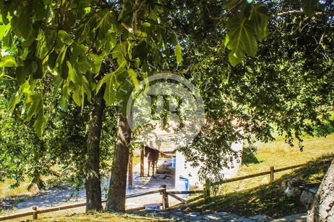 Villa i Sassetta, Livorno, Sassetta - € 1.200.000 | Ref: AI 31 - foto 24