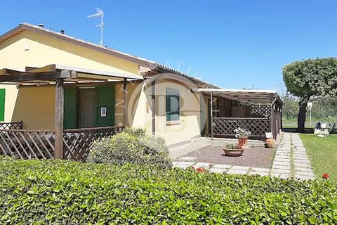 Landejendom i Cecina, Livorno, Cecina - € 1.980.000 | Ref: AI 37 - foto 4