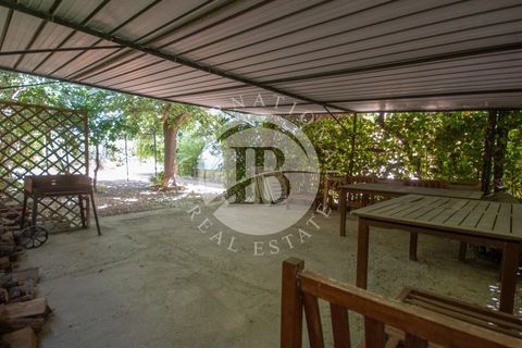 Villa i Bibbona, Livorno, Bibbona - € 840.000 | Ref: AI 49 - foto 19