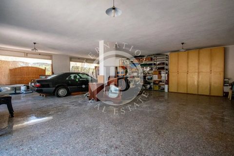 Villa i Bibbona, Livorno, Bibbona - € 840.000 | Ref: AI 49 - foto 20