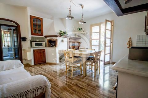 Villa i Bibbona, Livorno, Bibbona - € 840.000 | Ref: AI 49 - foto 22