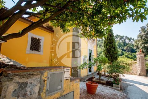 Villa i Camaiore, Lucca, Camaiore - € 495.000 | Ref: AI 53 - foto 12