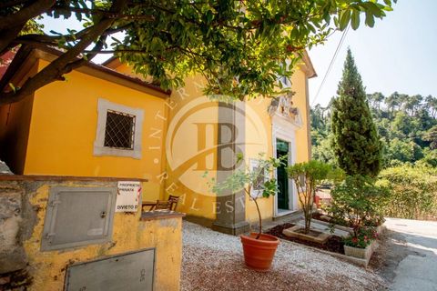 Villa i Camaiore, Lucca, Camaiore - € 495.000 | Ref: AI 53 - foto 13
