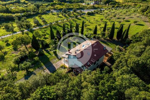 Villa i Riparbella, Pisa, Riparbella - € 880.000 | Ref: AI 54 - foto 2