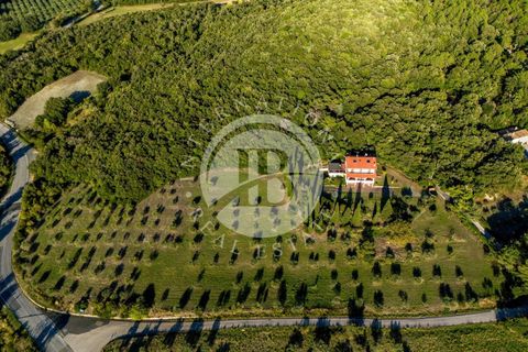 Villa i Riparbella, Pisa, Riparbella - € 880.000 | Ref: AI 54 - foto 3