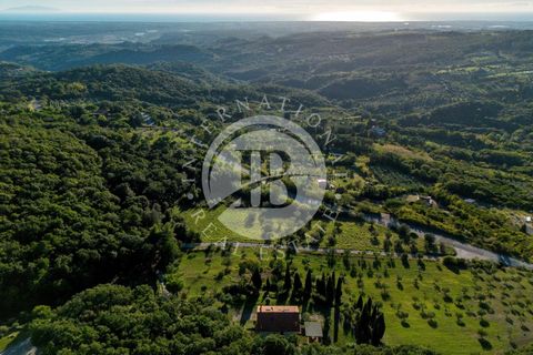 Villa i Riparbella, Pisa, Riparbella - € 880.000 | Ref: AI 54 - foto 28