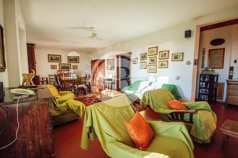 Villa i Riparbella, Pisa, Riparbella - € 880.000 | Ref: AI 54 - foto 35