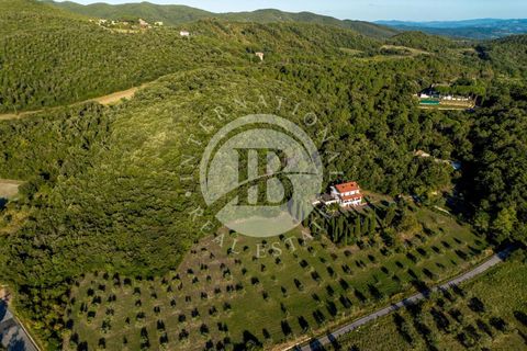 Villa i Riparbella, Pisa, Riparbella - € 880.000 | Ref: AI 54 - foto 41