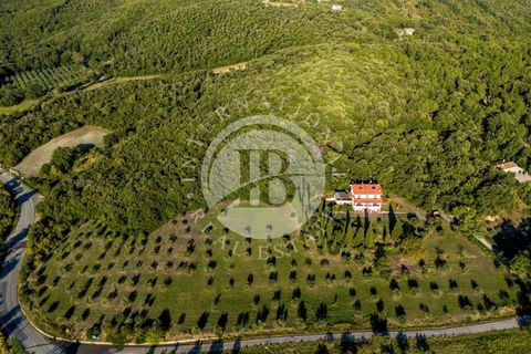 Villa i Riparbella, Pisa, Riparbella - € 880.000 | Ref: AI 54 - foto 42