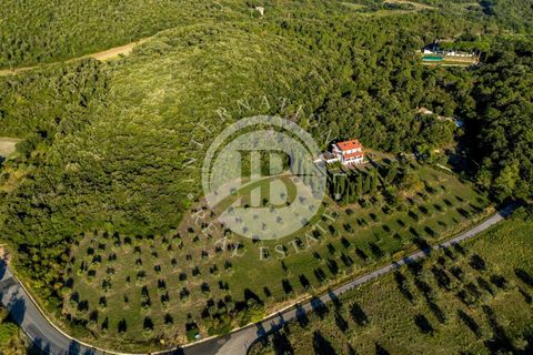 Villa i Riparbella, Pisa, Riparbella - € 880.000 | Ref: AI 54 - foto 43