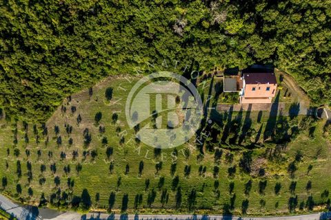 Villa i Riparbella, Pisa, Riparbella - € 880.000 | Ref: AI 54 - foto 44
