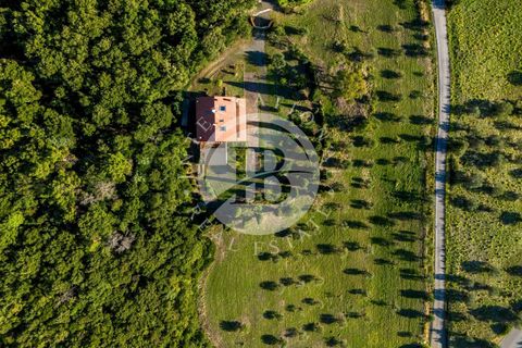 Villa i Riparbella, Pisa, Riparbella - € 880.000 | Ref: AI 54 - foto 45