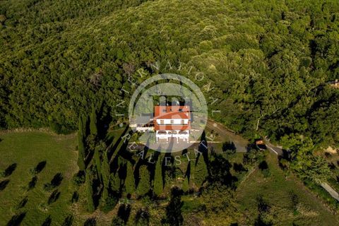 Villa i Riparbella, Pisa, Riparbella - € 880.000 | Ref: AI 54 - foto 46