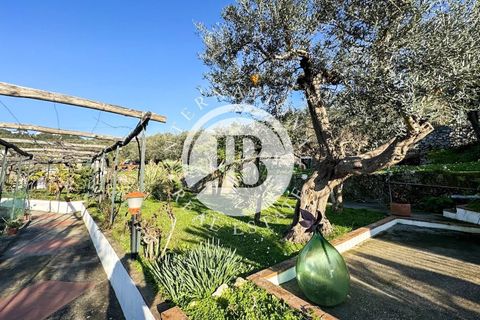 Villa i Anacapri, Naples, Anacapri - € 1.400.000 | Ref: PIP 8 - foto 10