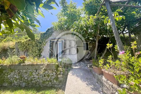 Villa i Capri, Naples, Capri - € 1.500.000 | Ref: PIP 9 - foto 10