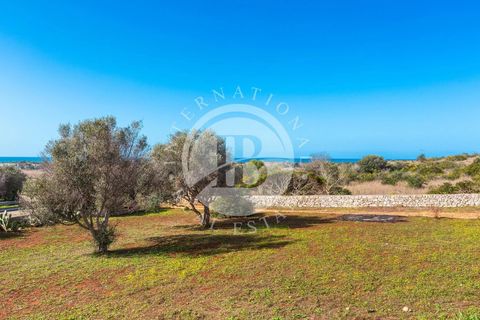 Villa i Ugento, Lecce, Ugento - € 510.000 | Ref: DA 3 - foto 24