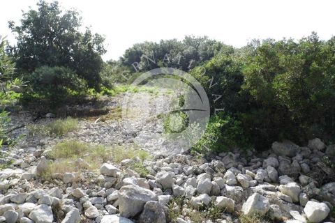 Villa i Ruffano, Lecce, Ruffano - € 690 000 | Ref: DA 9 - foto 6
