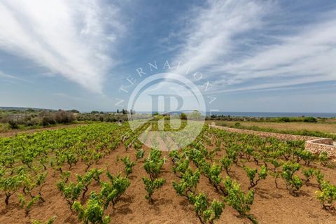 Villa i Salve, Lecce, Salve - € 500.000 | Ref: DA 23 - foto 5