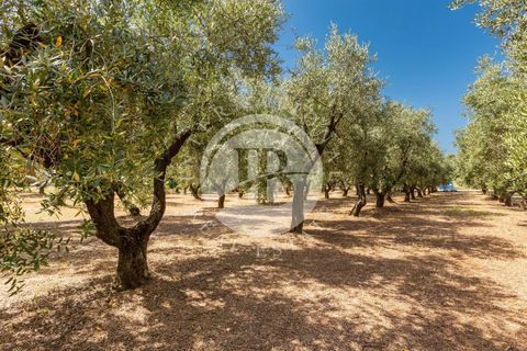 Villa i Lecce, Lecce, Lecce - € 670.000 | Ref: DA 76 - foto 10