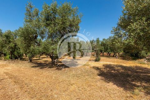 Villa i Lecce, Lecce, Lecce - € 670.000 | Ref: DA 76 - foto 11